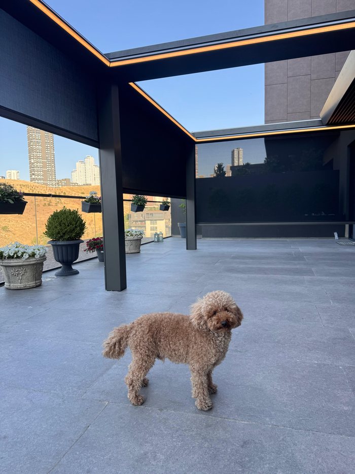 Pergola équipée de stores zip latéraux sur une terrasse